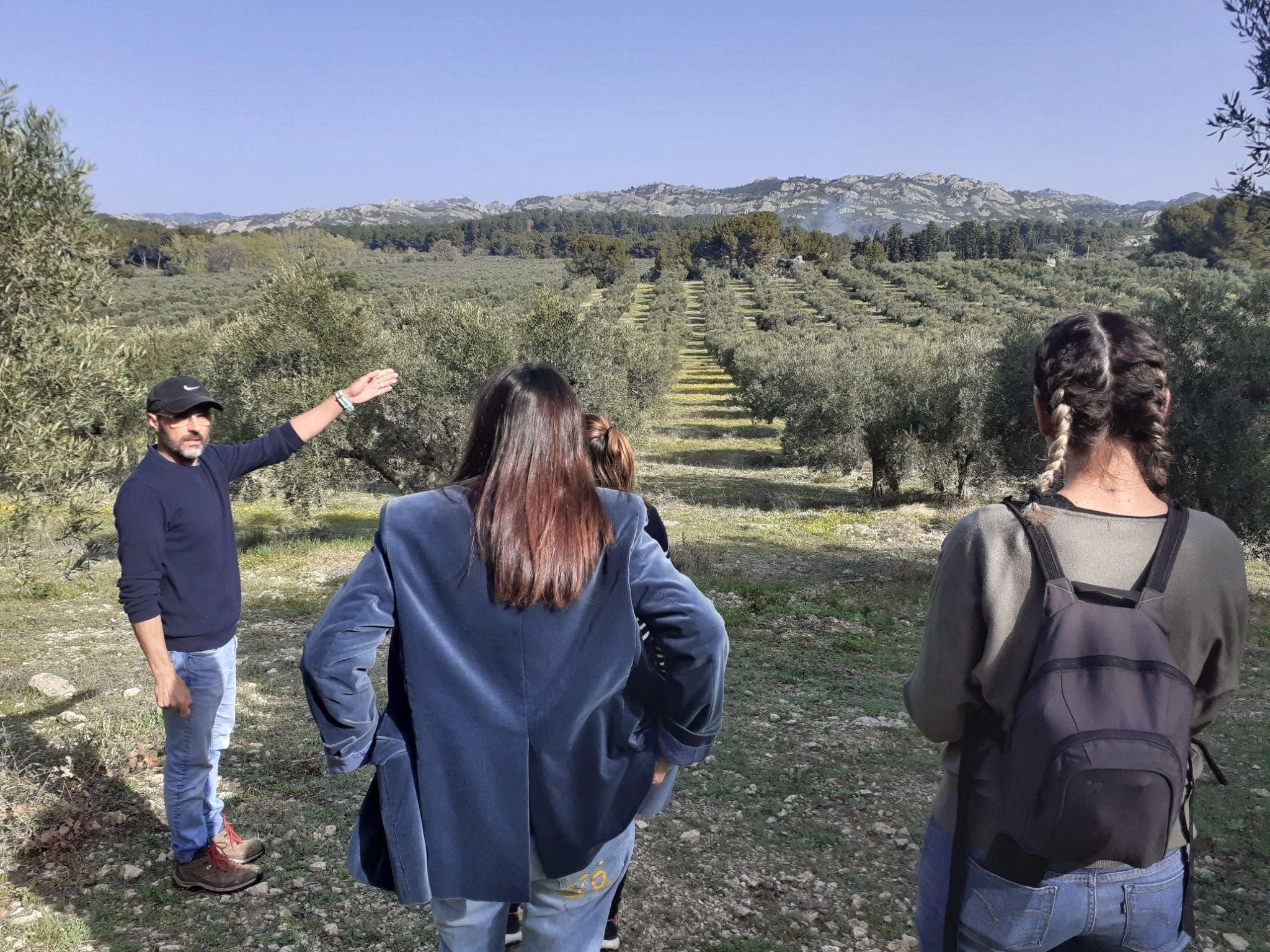 À la rencontre des savoir-faire des Alpilles - CMA PACA