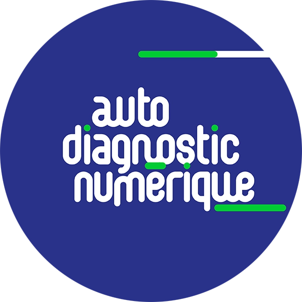 Autodiagnostic