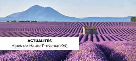 Actualités des Alpes de Haute-Provence